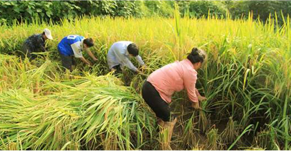 2020年“五一劳动节”放假通知